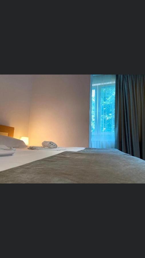 Manea Orsova Otel Dış mekan fotoğraf