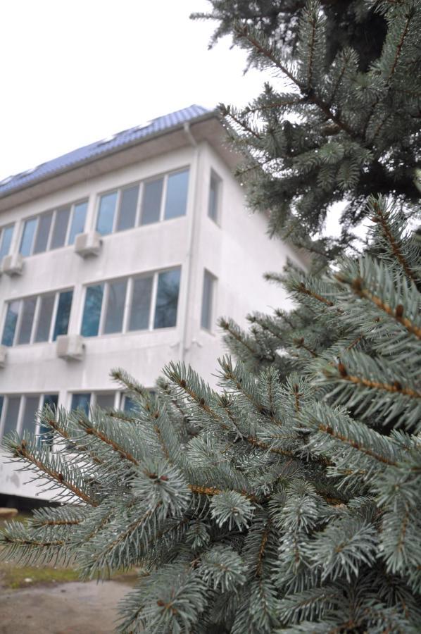 Manea Orsova Otel Dış mekan fotoğraf
